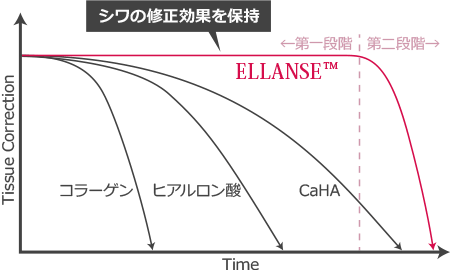 エランセ 生体吸収 イメージ