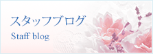 スタッフブログ