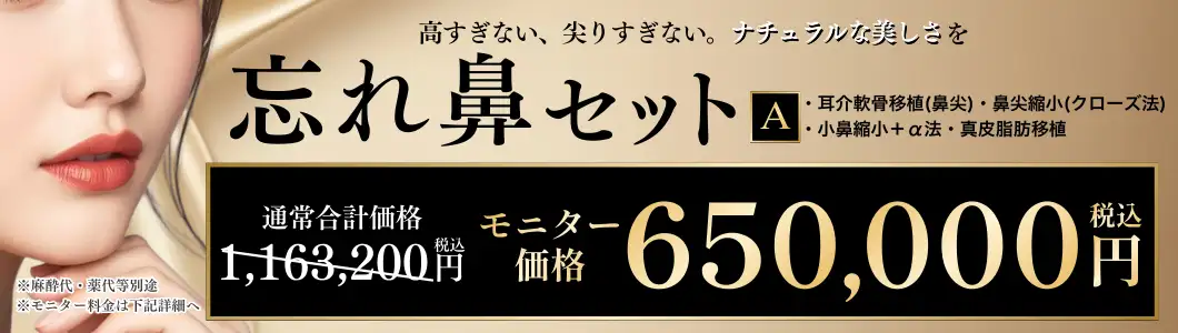 おすすめ治療 忘れ鼻バナー
